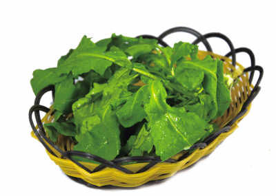 ���㴺��������ô��