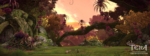 1��9�ա�TERA���ײ⽵�� ���3�ɾ���ʵ����