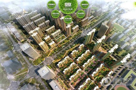 ������̬��