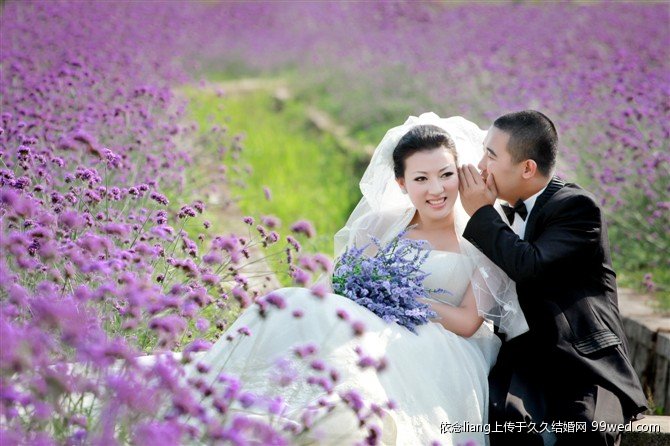 ޹�²ݻ������������ǿ�