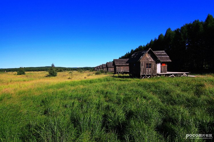 美丽的童话——塞罕坝