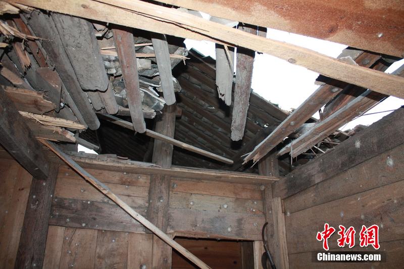 �϶����Ųк��Ҵ���������